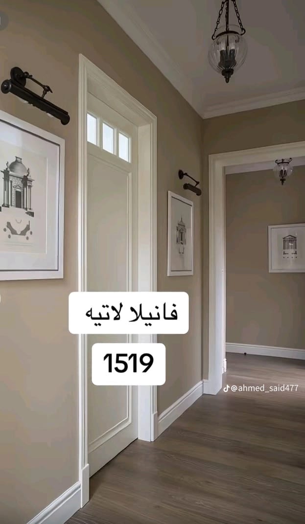 نقاش - فانيلا لاتيه